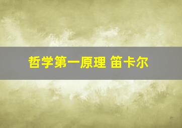 哲学第一原理 笛卡尔